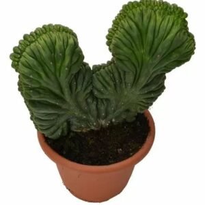 Store import placeholder for 3601